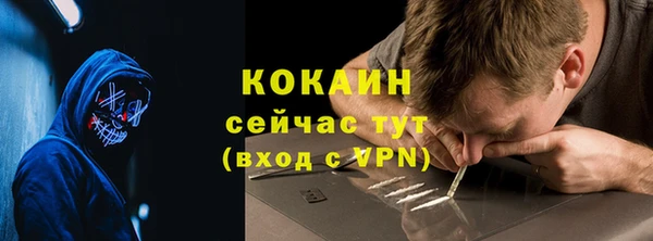 mix Богородицк