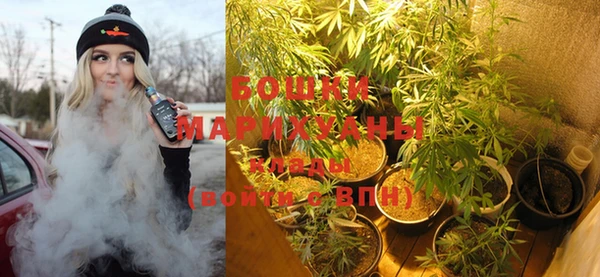 mix Богородицк