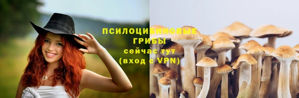 МДПВ Богданович