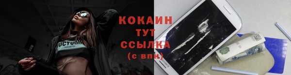 молекула духа Богородск