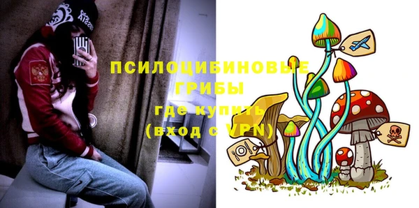 молекула духа Богородск