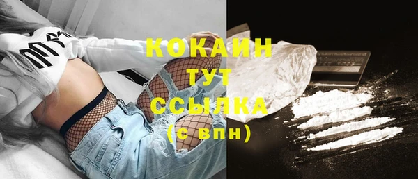 молекула духа Богородск